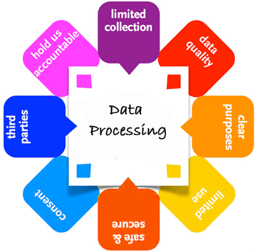 Data Processing Service Provider